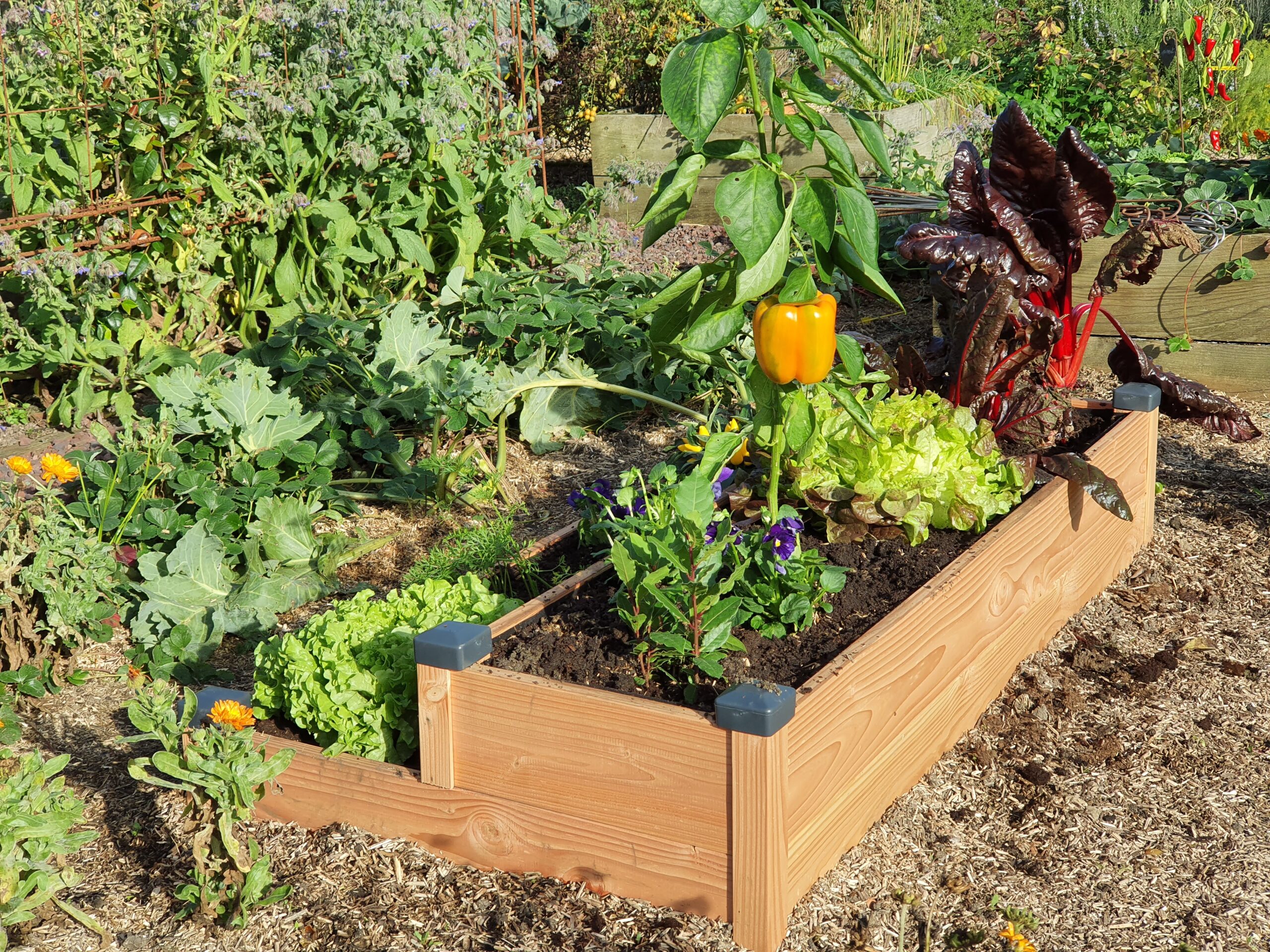 32+ Potager Vorgarten, Ein vorgarten kann mehr als nur gut aussehen.