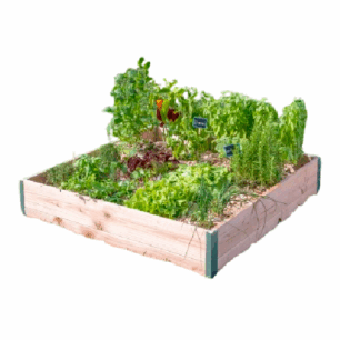 CARRE POTAGER 100 x 95 DESIGN
